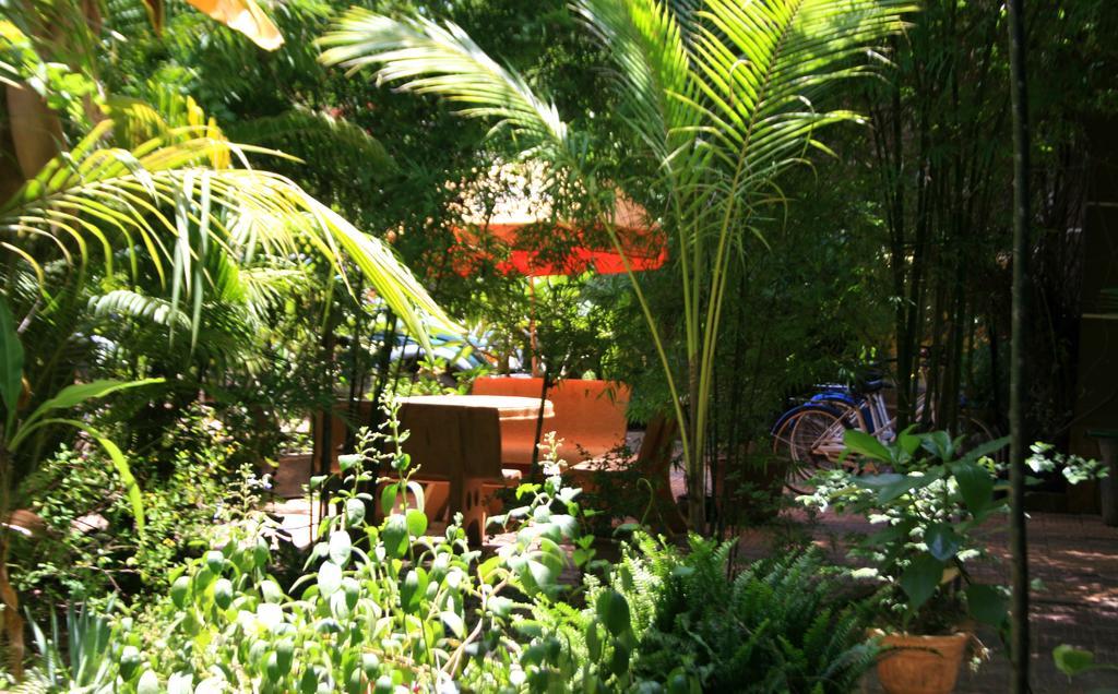 Firefly Guesthouse - The Berlin Angkor Сіємреап Екстер'єр фото