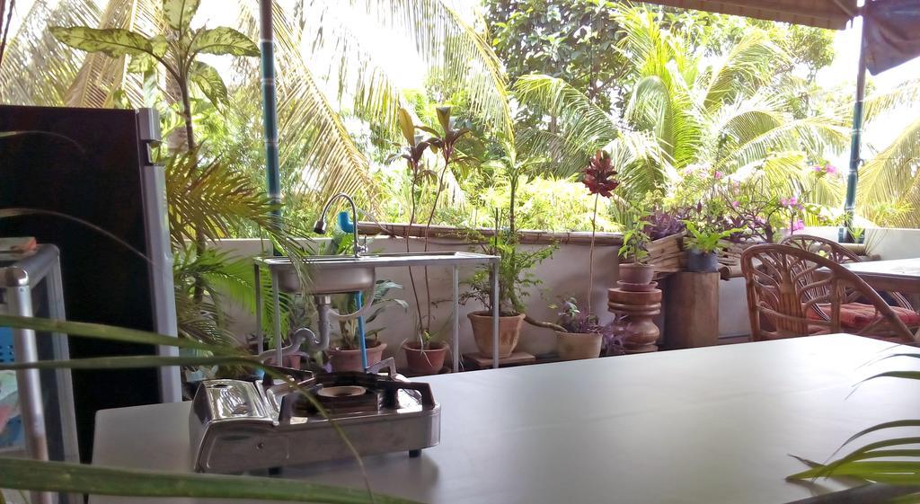 Firefly Guesthouse - The Berlin Angkor Сіємреап Екстер'єр фото