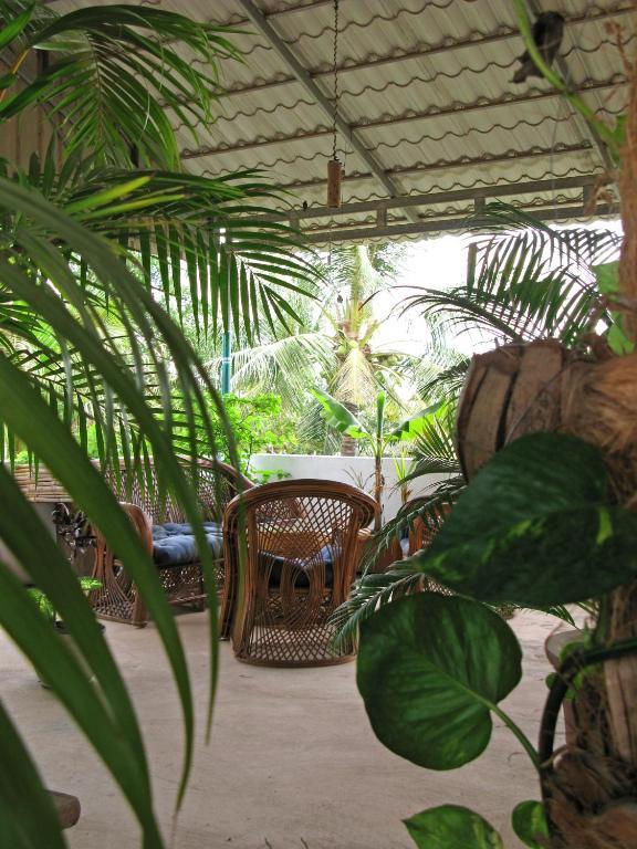 Firefly Guesthouse - The Berlin Angkor Сіємреап Екстер'єр фото